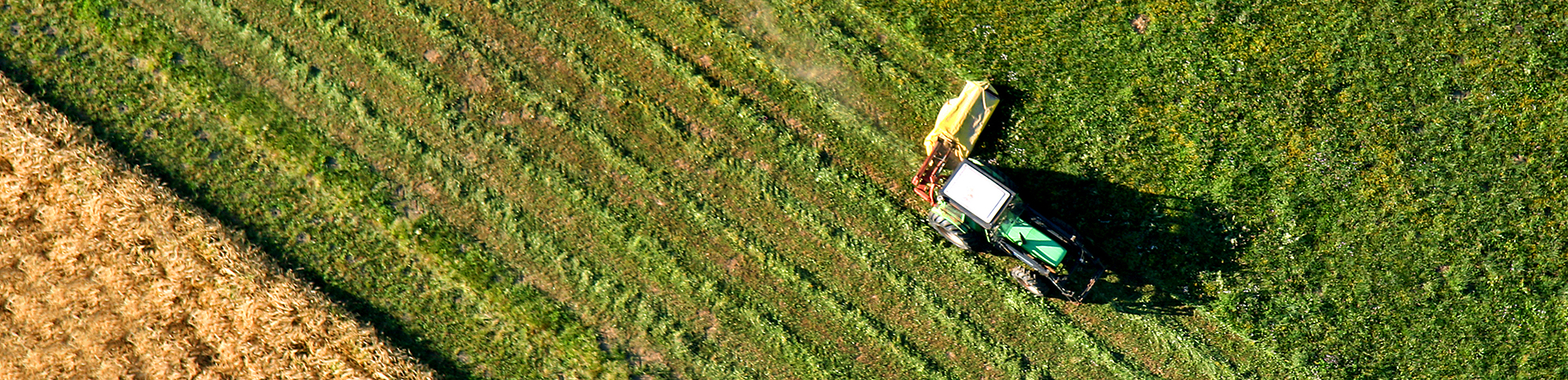 Agriculture