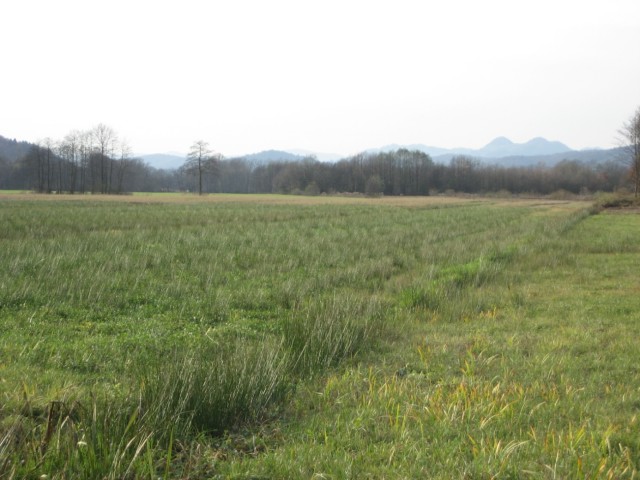 image003