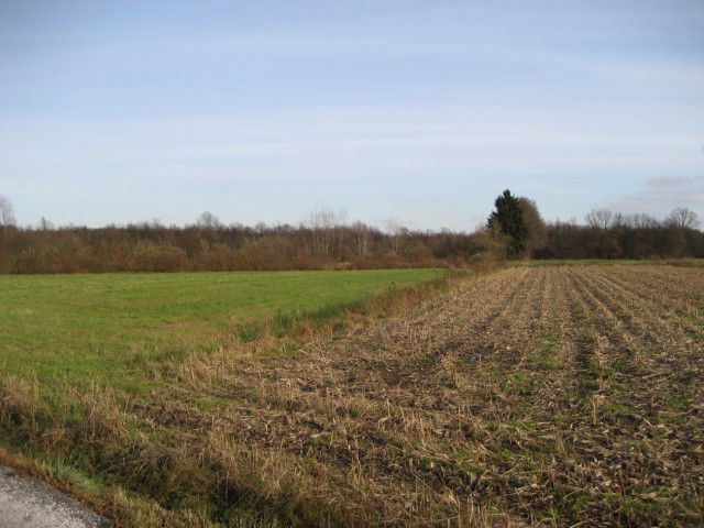 image007