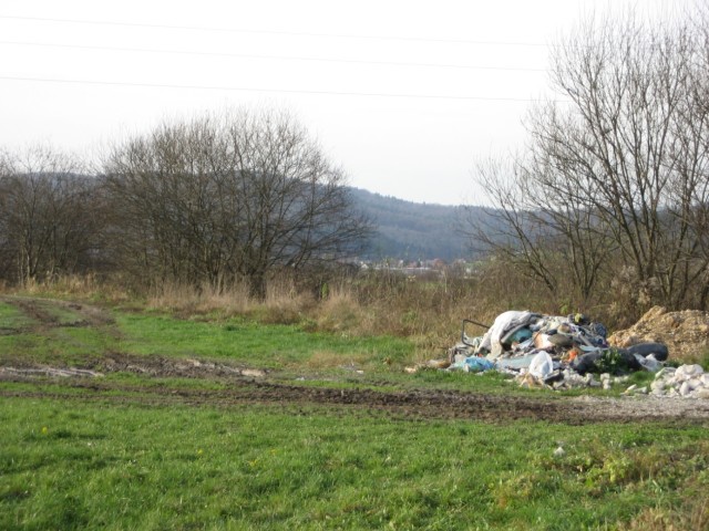 image009