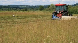 Expectations for participation in Agri-Environment-Climate (AEC) projects in the Ljubljana Marsh Expectations for participation in Agri-Environment-Climate (AEC) projects in the Ljubljana Marsh