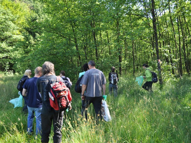Removing invasive non-native plants, Photo: Lipovšek G.