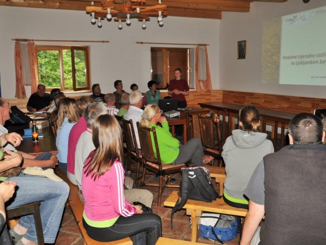 Odstranjevanje invazivk, foto: Zavodnik A.