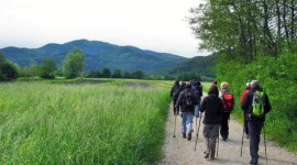 Najava dogodka: 11. Pohod po Ljubljanskem barju Najava dogodka: 11. Pohod po Ljubljanskem barju