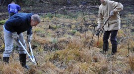 Prostovoljna delovna akcija v Strajanovem bregu Prostovoljna delovna akcija v Strajanovem bregu