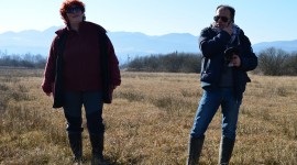 Community work campaign on meadow land for the central False Ringlet population in the Ljubljana Marsh