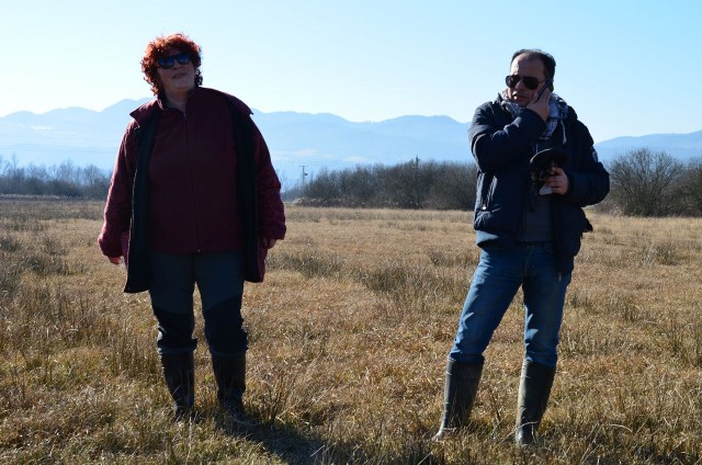 Community work campaign on meadow land for the central False Ringlet population in the Ljubljana Marsh
