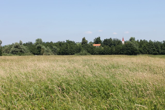 Integrated management plans for farms of the Ljubljana Marsh